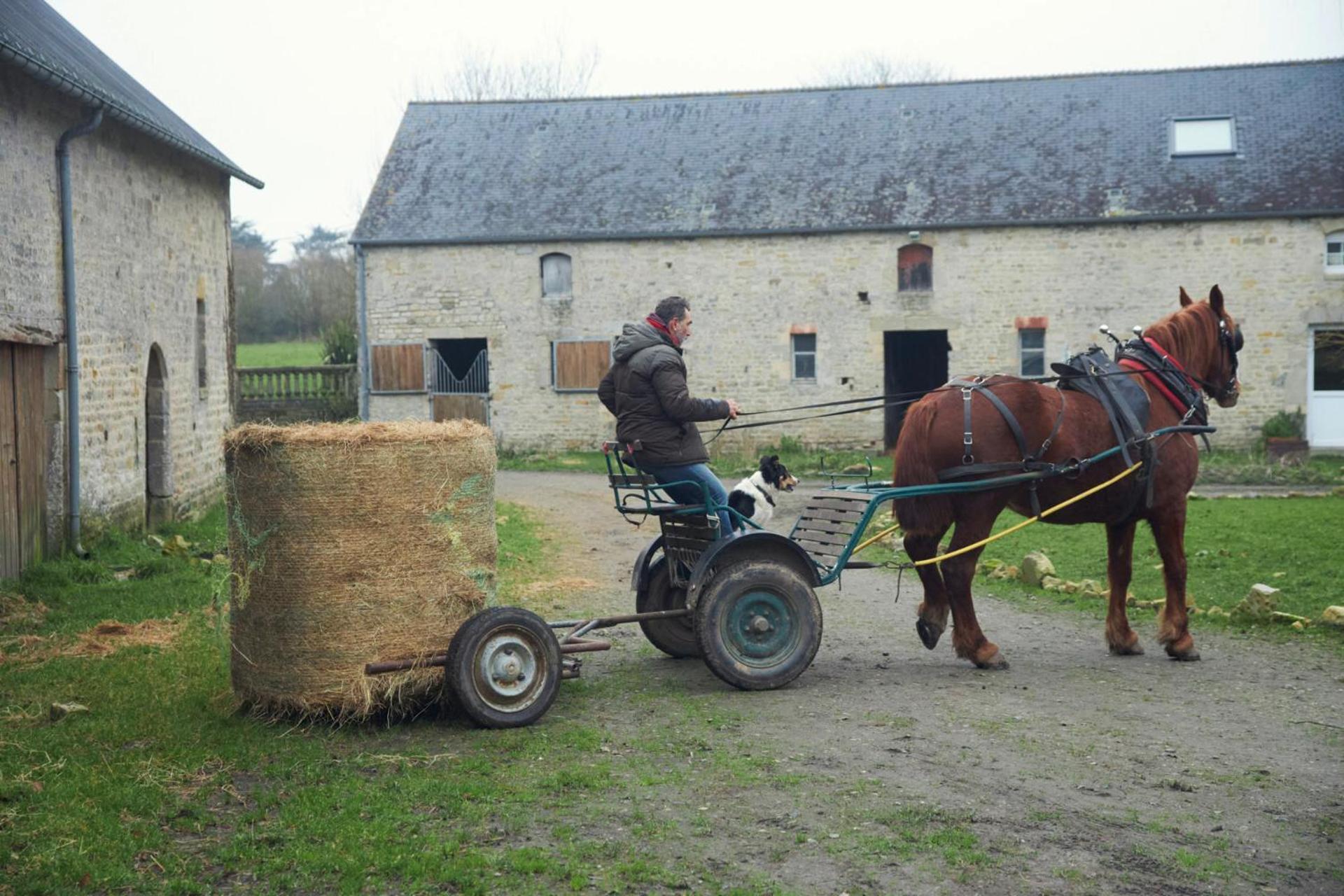 Ferme De Franqueville Sainte-Marie-du-Mont  Extérieur photo